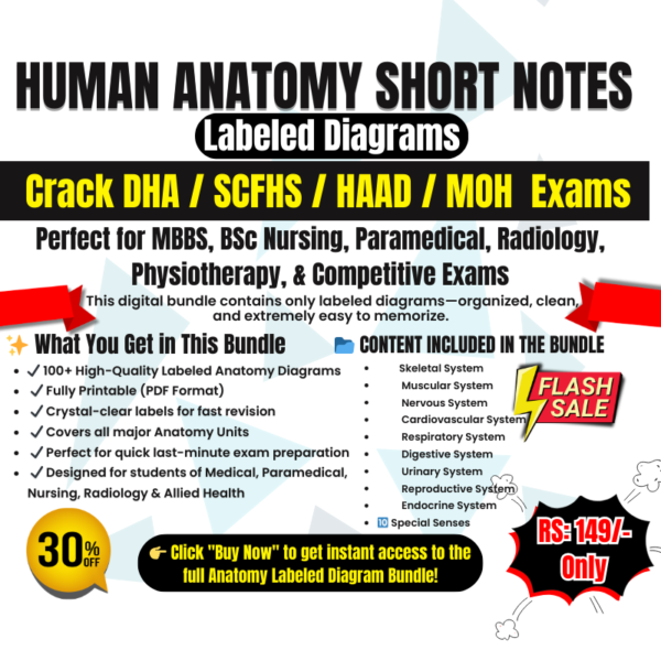 CT & MRI Human Anatomy – Labeled Diagrams Short Notes Practical Guide for Radiology & Imaging Technologists